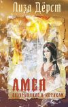 Книга Амея. Возвращение к истокам автора Лиза Хок