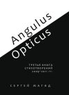Книга Angulus / Opticus. Третья книга стихотворений. 2009–2011 гг. автора Сергей Магид