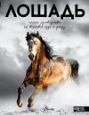 Книга Лошадь. Полное руководство по верховой езде и уходу автора О. Костикова