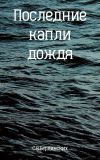 Книга Последние капли дождя автора Степан Бердинских