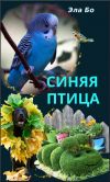 Книга Синяя птица автора Эла Бо