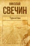 Книга Туркестан автора Николай Свечин