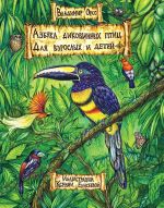 Новая книга Азбука диковинных птиц. Для взрослых и детей автора Владимир Орсо