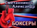 Скачать книгу «Боксёры» автора Александр Сметанников