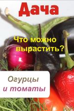 Скачать книгу Что можно вырастить? Огурцы и томаты автора Илья Мельников