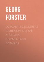 Скачать книгу De Plantis Esculentis Insularum Oceani Australis Commentatio Botanica автора Georg Forster