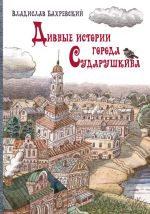 Скачать книгу Дивные истории города Сударушкина автора Владислав Бахревский