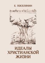 Скачать книгу Идеалы христианской жизни автора Евгений Поселянин