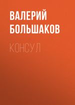 Скачать книгу Консул автора Валерий Большаков