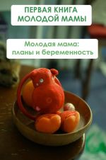 Скачать книгу Молодая мама: планы и беременность автора Илья Мельников