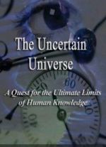 Скачать книгу Неопределенная Вселенная автора Борис Кригер