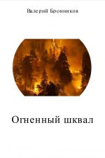 Скачать книгу Огненный шквал автора Валерий Бронников