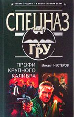 Скачать книгу Профи крупного калибра автора Михаил Нестеров