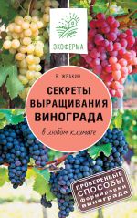 Скачать книгу Секреты выращивания винограда в любом климате. Проверенные способы формировки винограда автора Виктор Жвакин