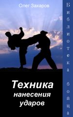 Скачать книгу Техника нанесения ударов автора Олег Захаров