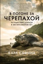 Скачать книгу В погоне за черепахой. Путешествие длиной в 200 миллионов лет автора Карл Сафина