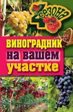 Скачать книгу Виноградник на вашем участке автора Екатерина Животовская
