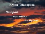 Скачать книгу Второй попытки не будет автора Юлия Макарова