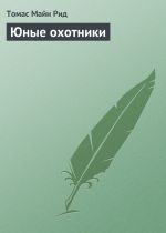 Скачать книгу Юные охотники автора Томас Майн Рид