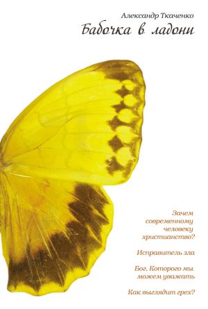 обложка книги Бабочка в ладони автора Александр Ткаченко