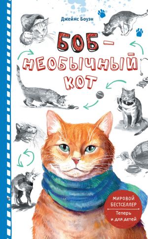 обложка книги Боб – необычный кот автора Джеймс Боуэн