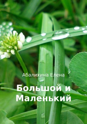 обложка книги Большой и маленький автора Елена Абалихина