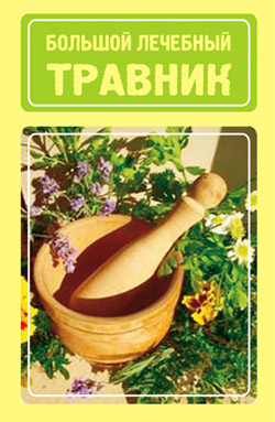 обложка книги Большой лечебный травник автора Иван Дубровин