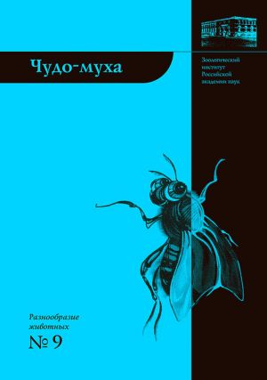 обложка книги Чудо-муха автора Елена Виноградова