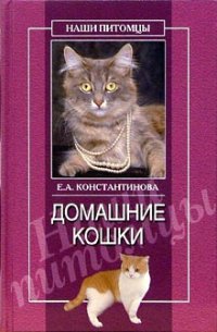 обложка книги Домашние кошки автора Екатерина Константинова