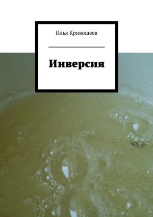 обложка книги Инверсия автора Илья Кривошеев