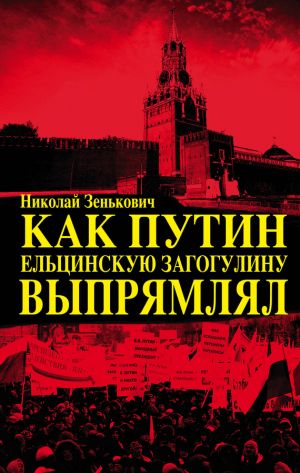 обложка книги Как Путин ельцинскую загогулину выпрямлял автора Николай Зенькович
