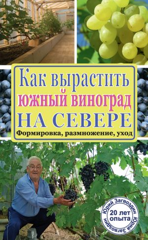 обложка книги Как вырастить южный виноград на севере автора Юрий Загвоздин