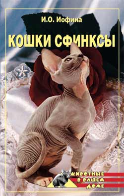обложка книги Кошки – сфинксы автора Дарья Нестерова
