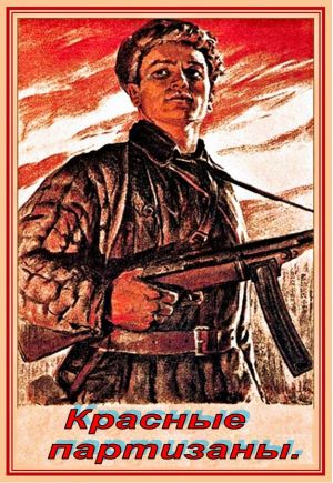 обложка книги Красные партизаны автора Михаил Янков