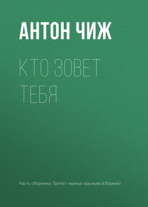 обложка книги Кто зовет тебя автора Антон Чиж