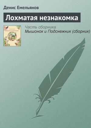 обложка книги Лохматая незнакомка автора Денис Емельянов