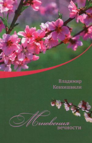 обложка книги Мгновения Вечности автора Владимир Кевхишвили