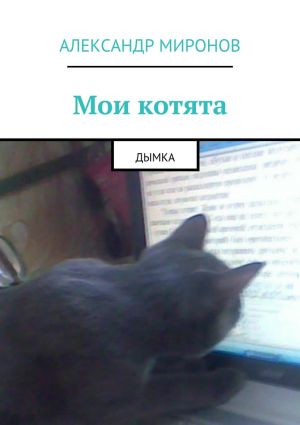 обложка книги Мои котята. Дымка автора Александр Миронов