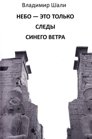 обложка книги Небо – это только следы синего ветра автора Владимир Шали