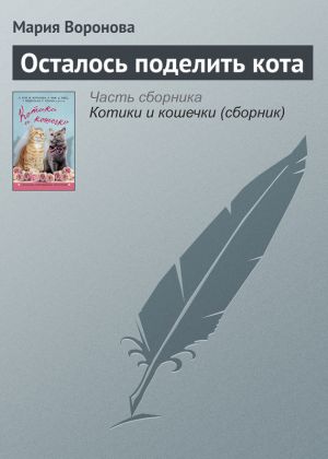 обложка книги Осталось поделить кота автора Мария Воронова