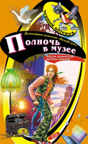 обложка книги Полночь в музее автора Илона Волынская