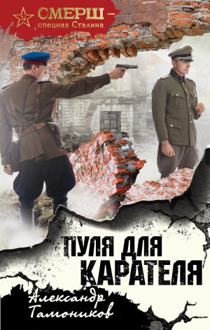 обложка книги Пуля для карателя автора Александр Тамоников