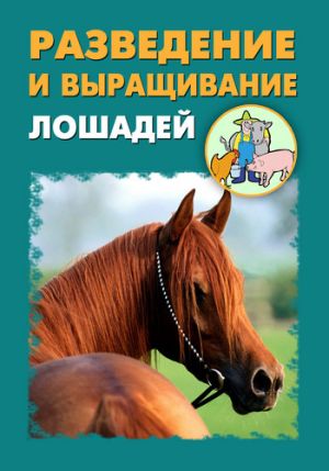 обложка книги Разведение и выращивание лошадей автора Илья Мельников