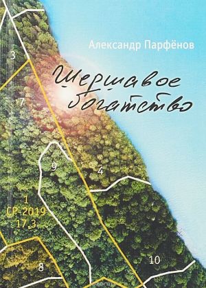 обложка книги Шершавое богатство автора Александр Парфёнов