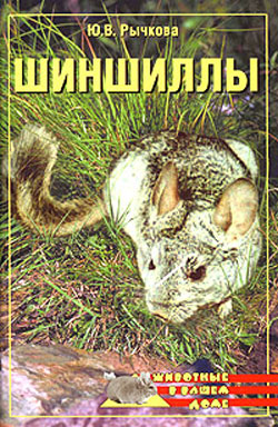 обложка книги Шиншиллы автора Юлия Рычкова