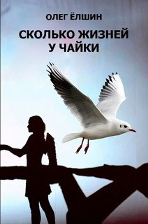 обложка книги Сколько жизней у Чайки автора Олег Ёлшин