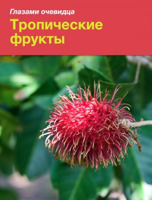 обложка книги Тропические фрукты автора Екатерина Пугачёва