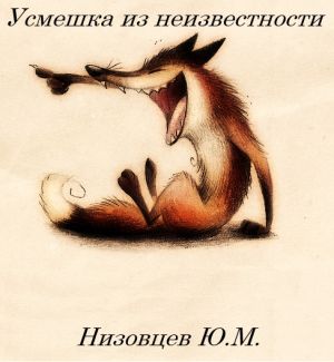 обложка книги Усмешка из неизвестности автора Юрий Низовцев