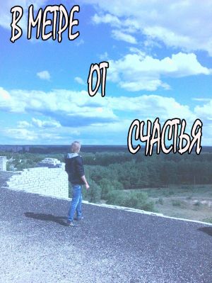 обложка книги В метре от счастья автора Артём Минайленко