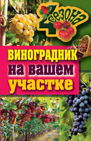 обложка книги Виноградник на вашем участке автора Екатерина Животовская
